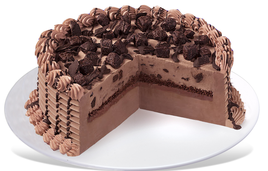 Chocolate cake with chocolate buttercream rosettes
