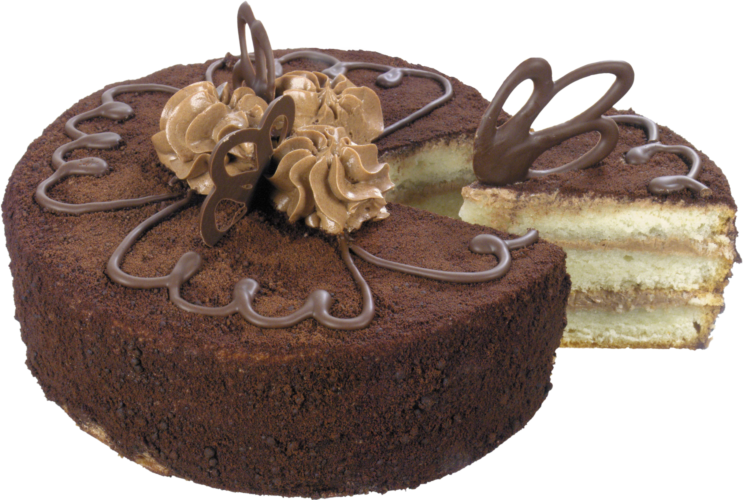 Chocolate layer cake with cocoa coating and chocolate buttercream rosettes